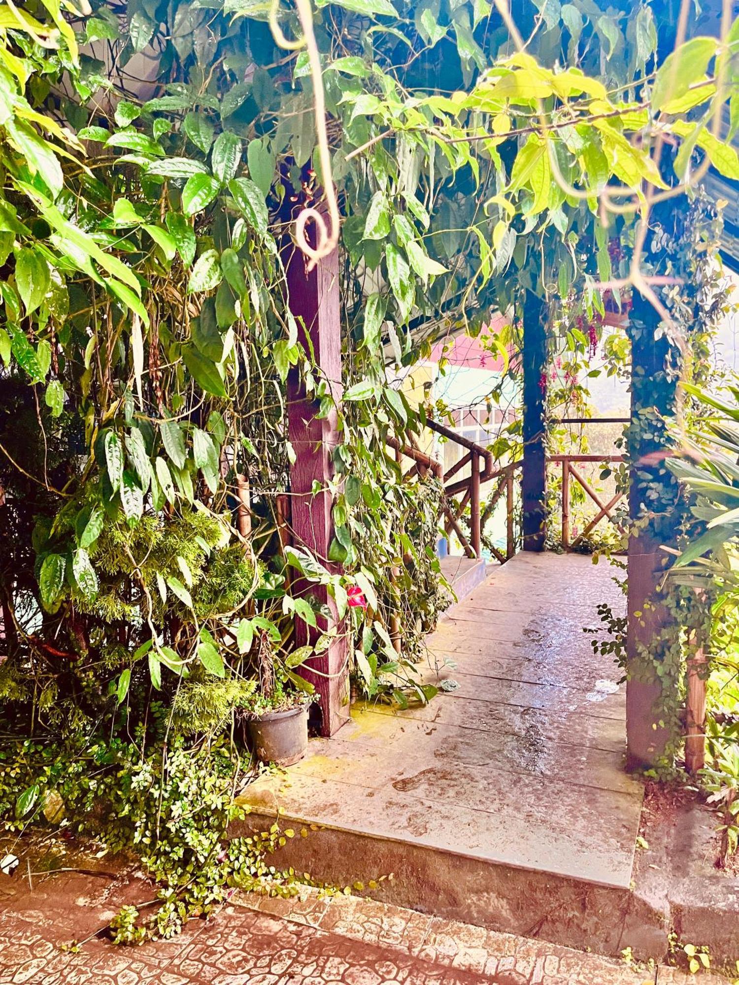 Munnar Tea Estate Cottage And Resort - Away From City Hustle Εξωτερικό φωτογραφία