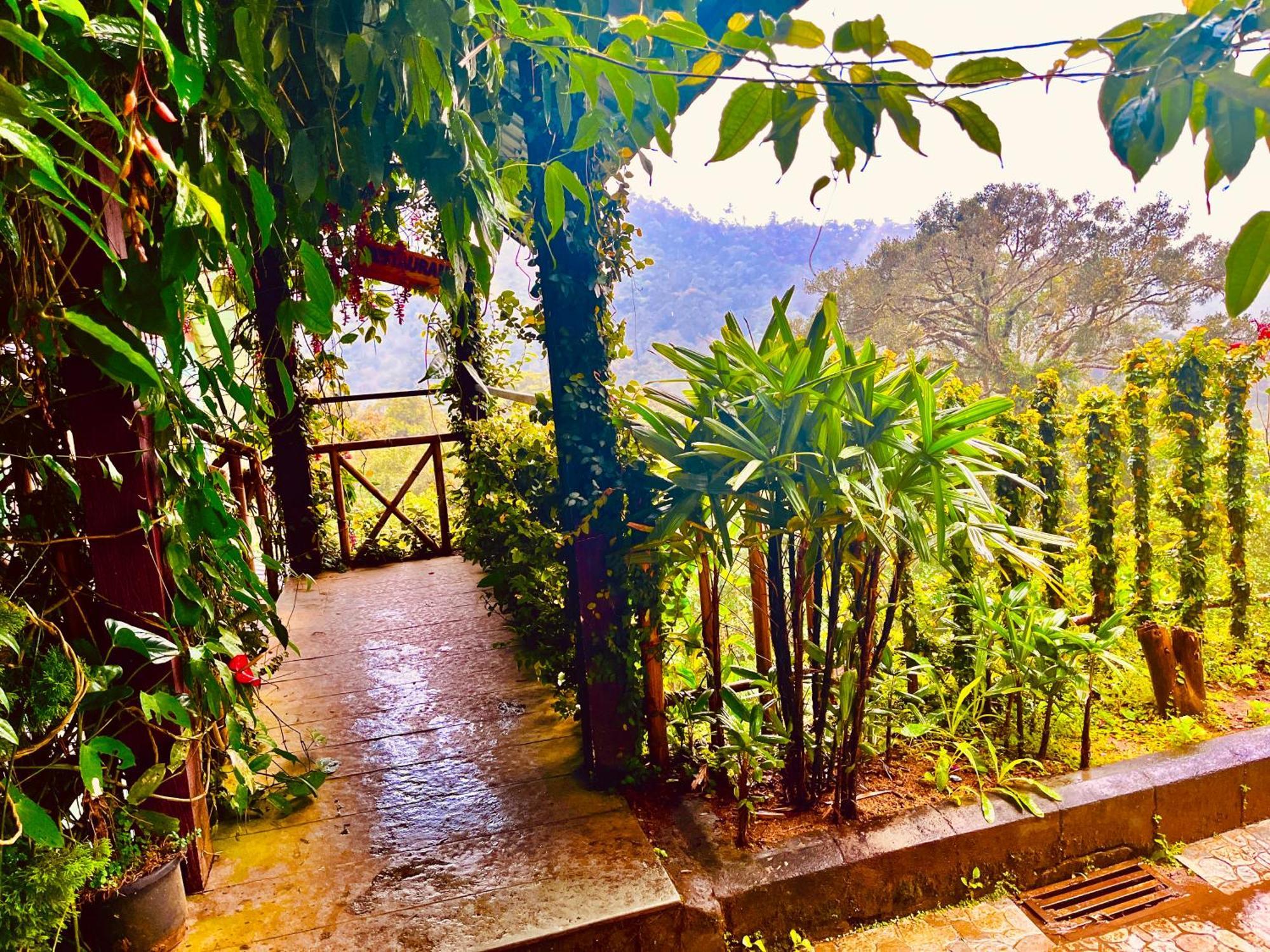 Munnar Tea Estate Cottage And Resort - Away From City Hustle Εξωτερικό φωτογραφία