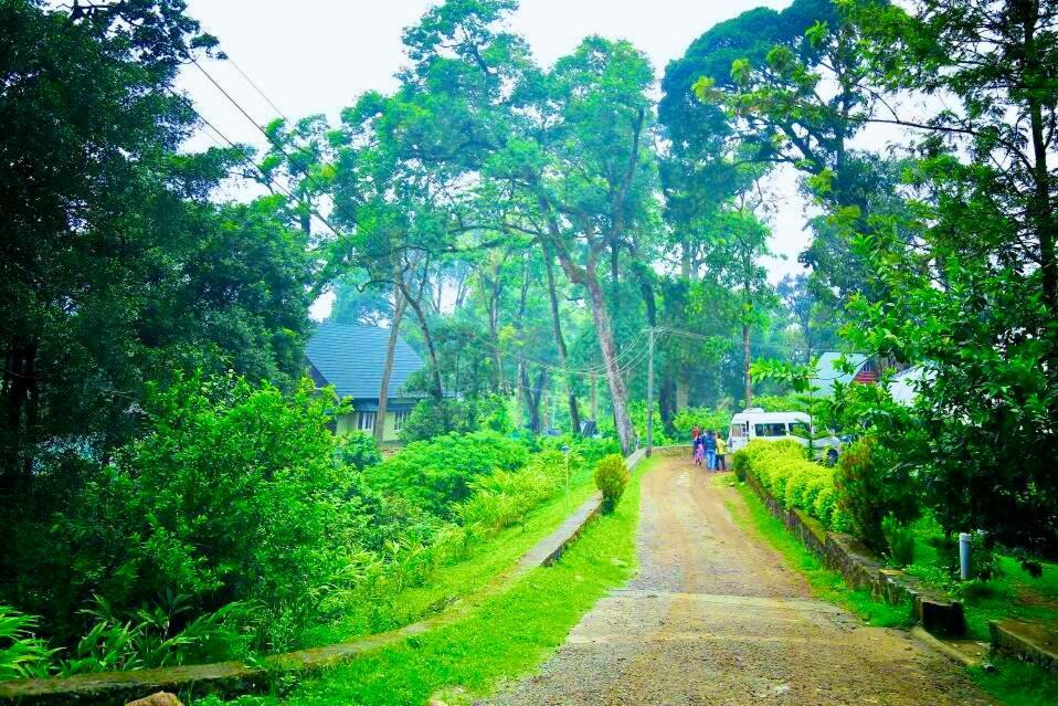 Munnar Tea Estate Cottage And Resort - Away From City Hustle Εξωτερικό φωτογραφία